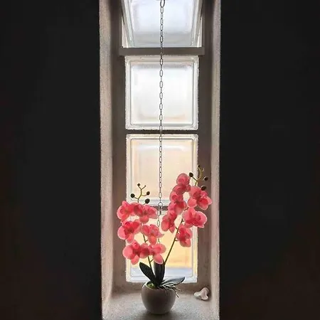 Pink House: Intero * Volla (Naples)